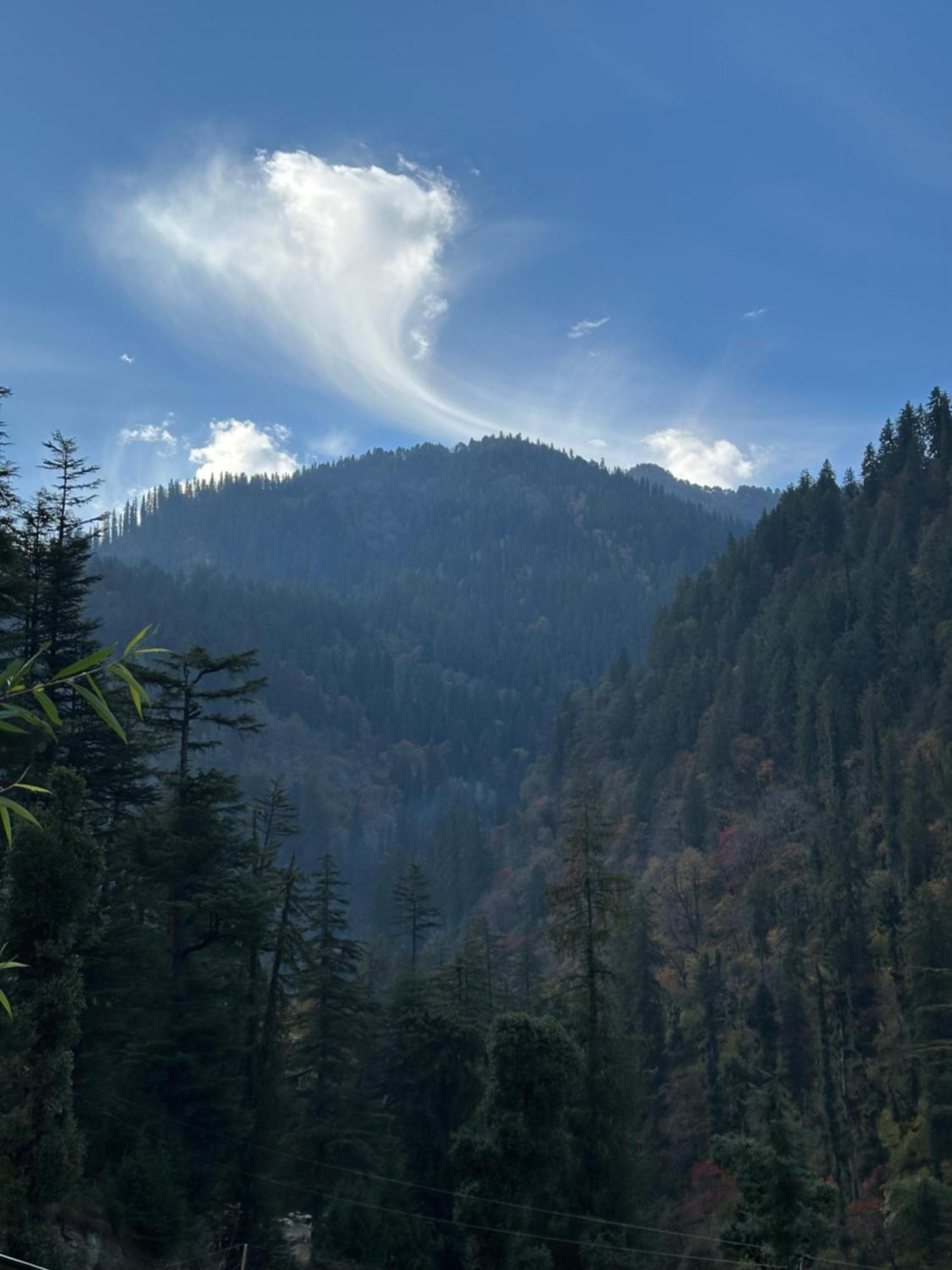 The Misty Wilds Home, Jibhi Exterior foto